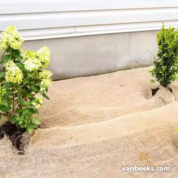 Jute Burlap